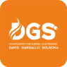 Logotipo de DGS David Gargallo Solsona, servicios de climatización, fontanería y electricidad.